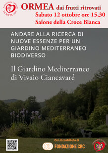 2bef96b7-63ce-4a9a-b715-c5298437c81d