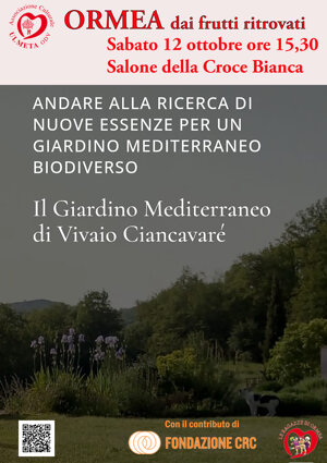 2bef96b7-63ce-4a9a-b715-c5298437c81d