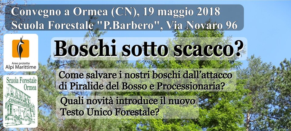 c2896dd8-3fa9-40cb-a532-7bd600c7fcc9