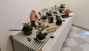 2088cd55-f81f-4f5a-abba-eb420590277a