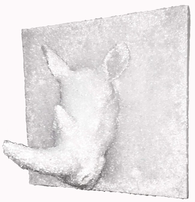 ed9e137a-0076-4f8e-9167-d788a6f88e29.jpeg