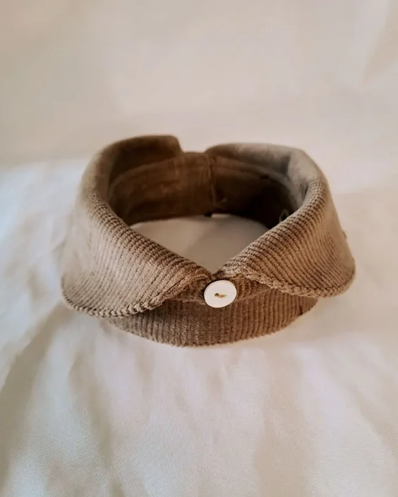 baisesmamain_pet-couture_cecilia-benetti_doggy-college_6 baisesmamain_pet-couture_cecilia-benetti_doggy-college_6