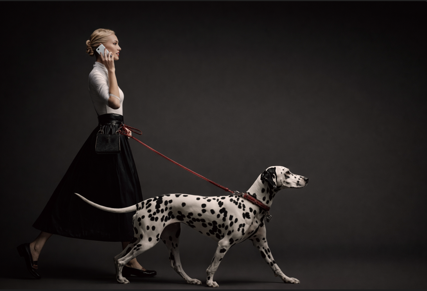 Pet Society Magazine passeggiata con cane Pet Society Magazine passeggiata con cane