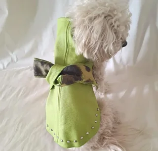 baisesmamain_pet-couture_cecilia-benetti_doggy-college_6.webp baisesmamain_pet-couture_cecilia-benetti_doggy-college_6.webp