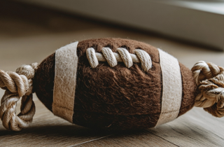 eyJlbi1VUyI6IlBldCBkZXNpZ24sIGRlc2lnbiwgdGVuZGVuemUsIHRyZW5kLCBnaW9jbyBwZXIgY2FuaSJ9