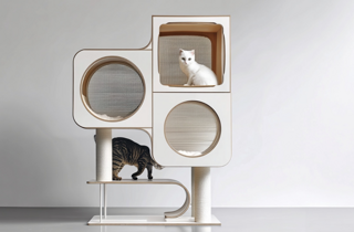 eyJlbi1VUyI6IlBldCBkZXNpZ24sIGRlc2lnbiwgdGVuZGVuemUsIHRyZW5kLCBjdWNjZSBwZXIgY2FuaSwgY3VjY2UgcGVyIGdhdHRpIn0=