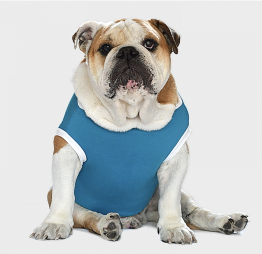 screenshot 2026-01-15 alle 18.51.56 screenshot 2026-01-15 alle 18.51.56