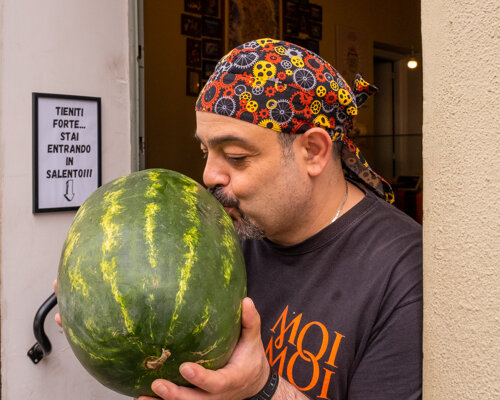 logo_nostripe logo_nostripe