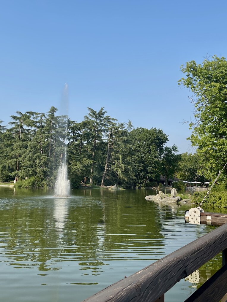 33811_01faf35cbdacac7c9070033c12cd84338130cbfd