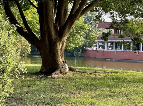 33811_a55c599843ba6c503673928ef2f8d264c42fa57e 33811_a55c599843ba6c503673928ef2f8d264c42fa57e