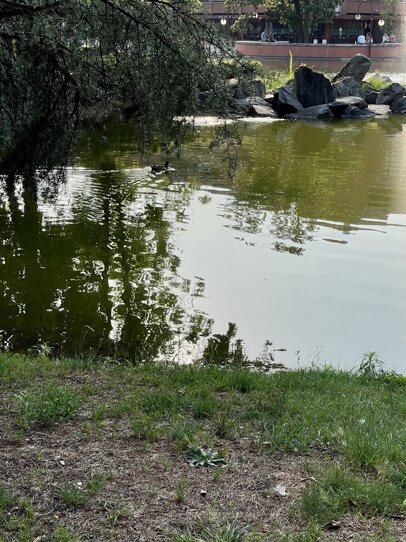 33811_a55c599843ba6c503673928ef2f8d264c42fa57e 33811_a55c599843ba6c503673928ef2f8d264c42fa57e