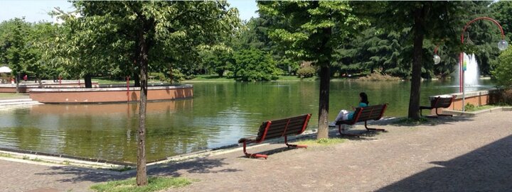 33811_d093b835ac4df9d02534078ee2a9eb2d7503a769