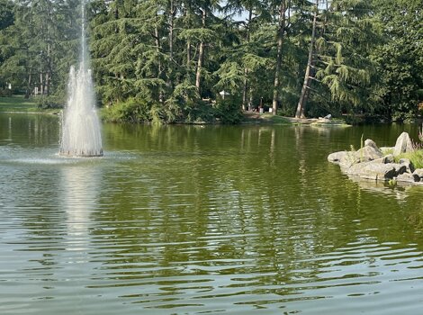 33811_240359a21bed41fc1d02681109e4dbd319962790 33811_240359a21bed41fc1d02681109e4dbd319962790