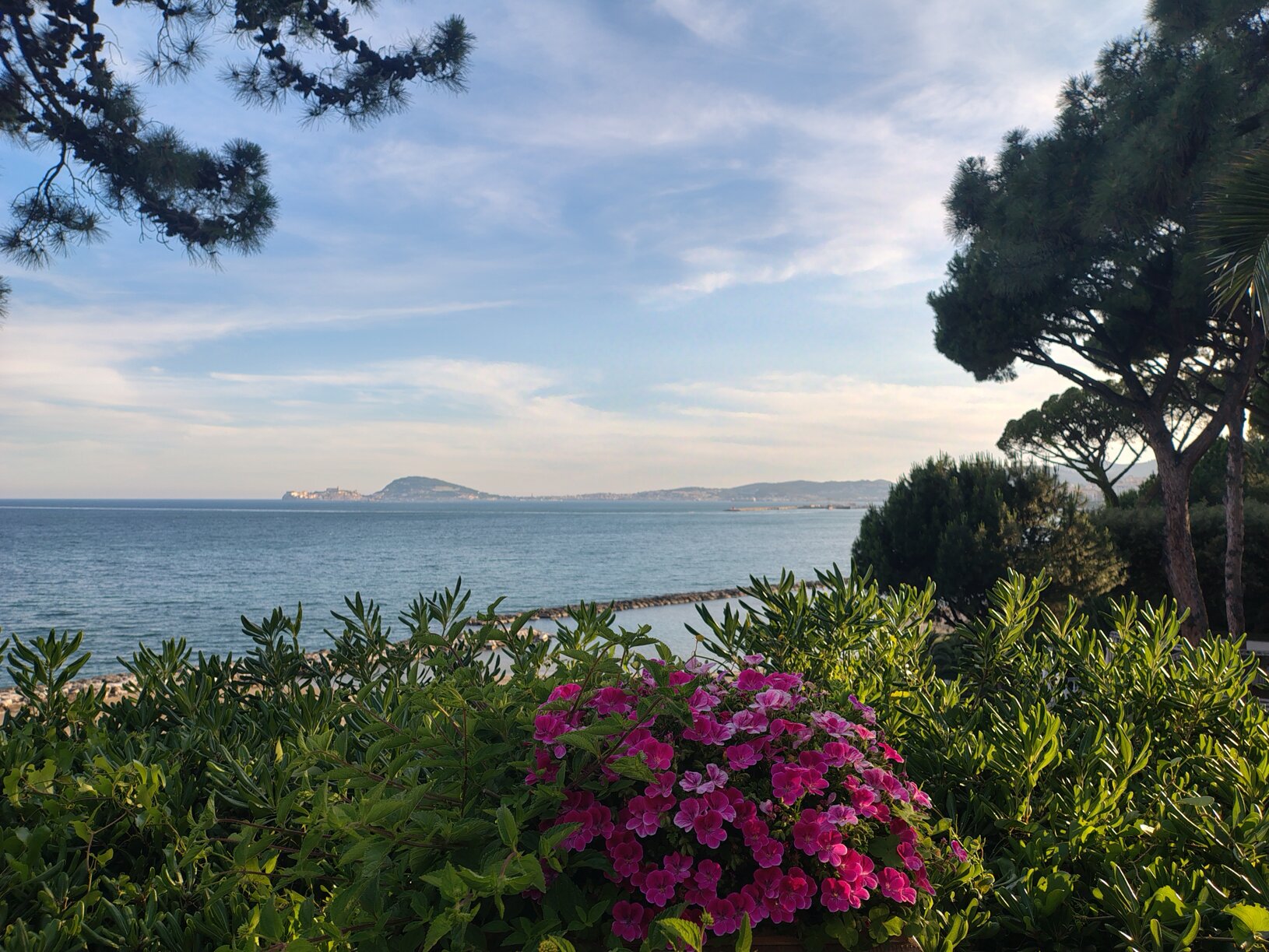 img_20250528_191122570_hdr (1).jpeg