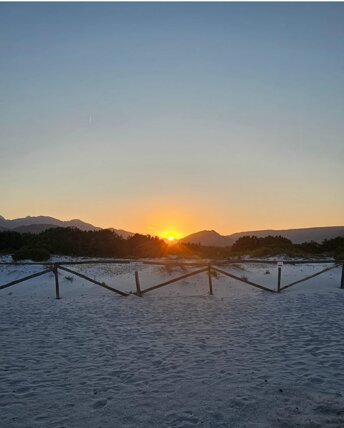 immagine whatsapp 2025-04-10 ore 13.13.10_4b628c02.jpeg