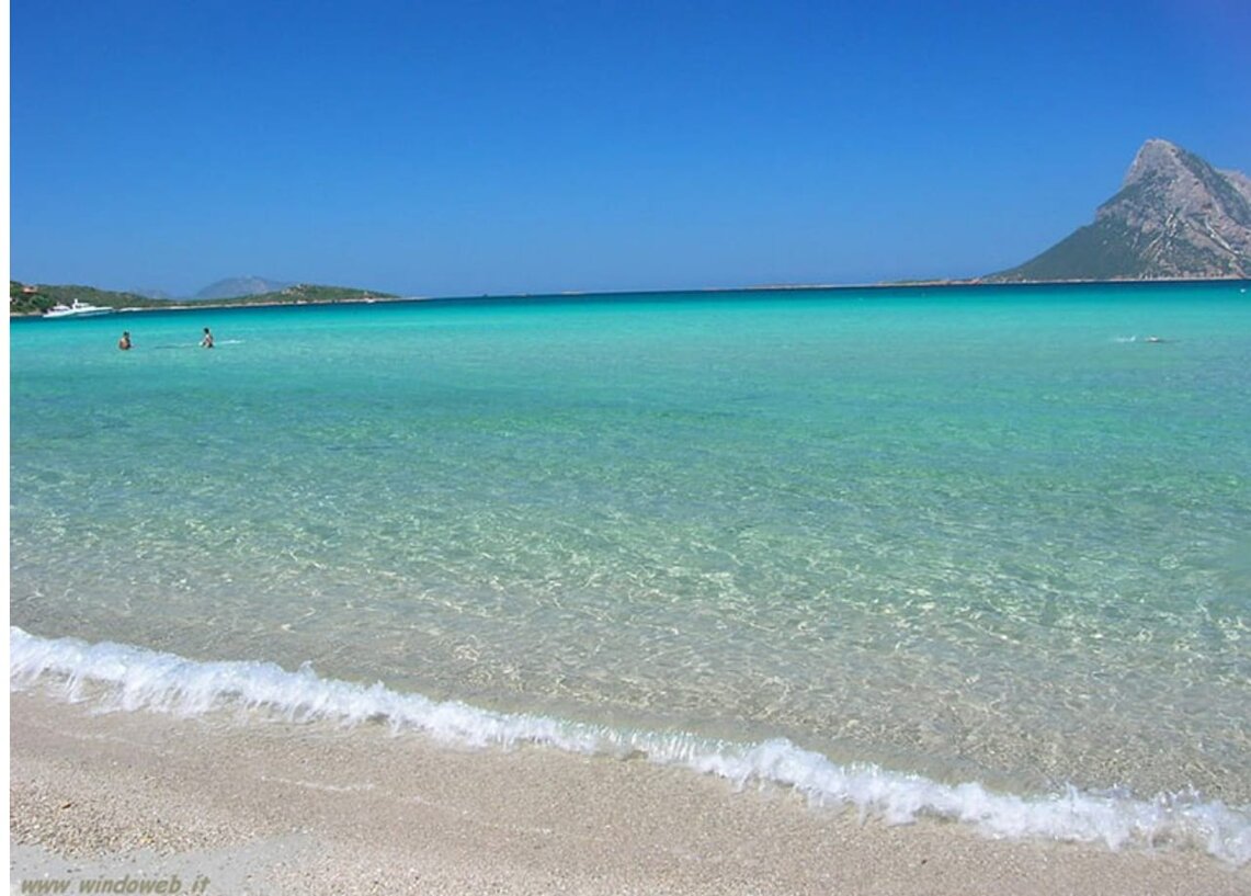 whatsapp image 2026-01-11 at 22.05.35.jpeg