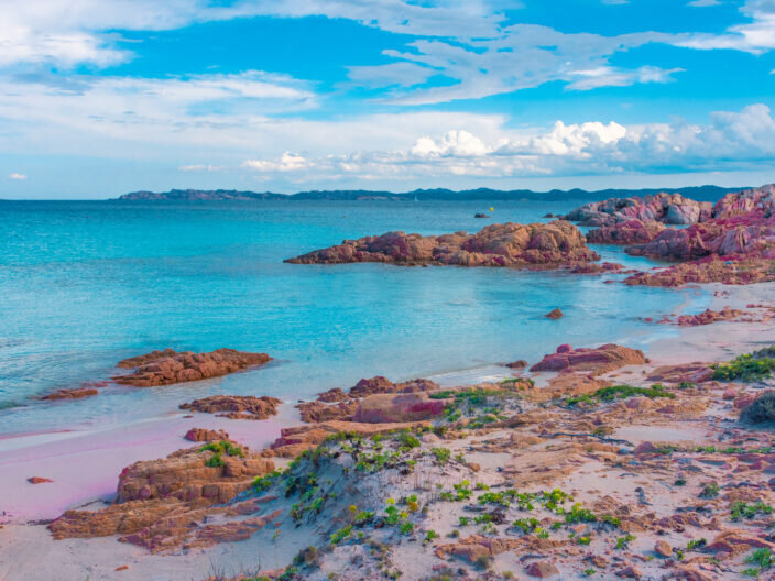 lamaddalena12-sardopuro.jpeg lamaddalena12-sardopuro.jpeg