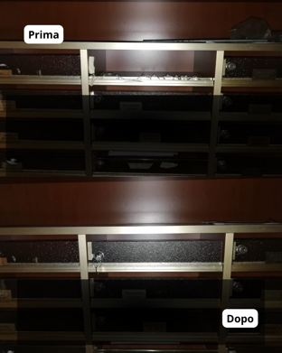 testo del paragrafo (6)