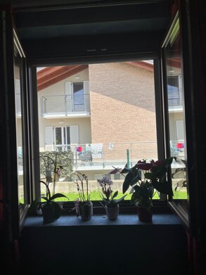 photo-2025-07-18-10-04-17 4.jpeg