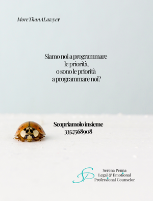 post%2014.12.2025