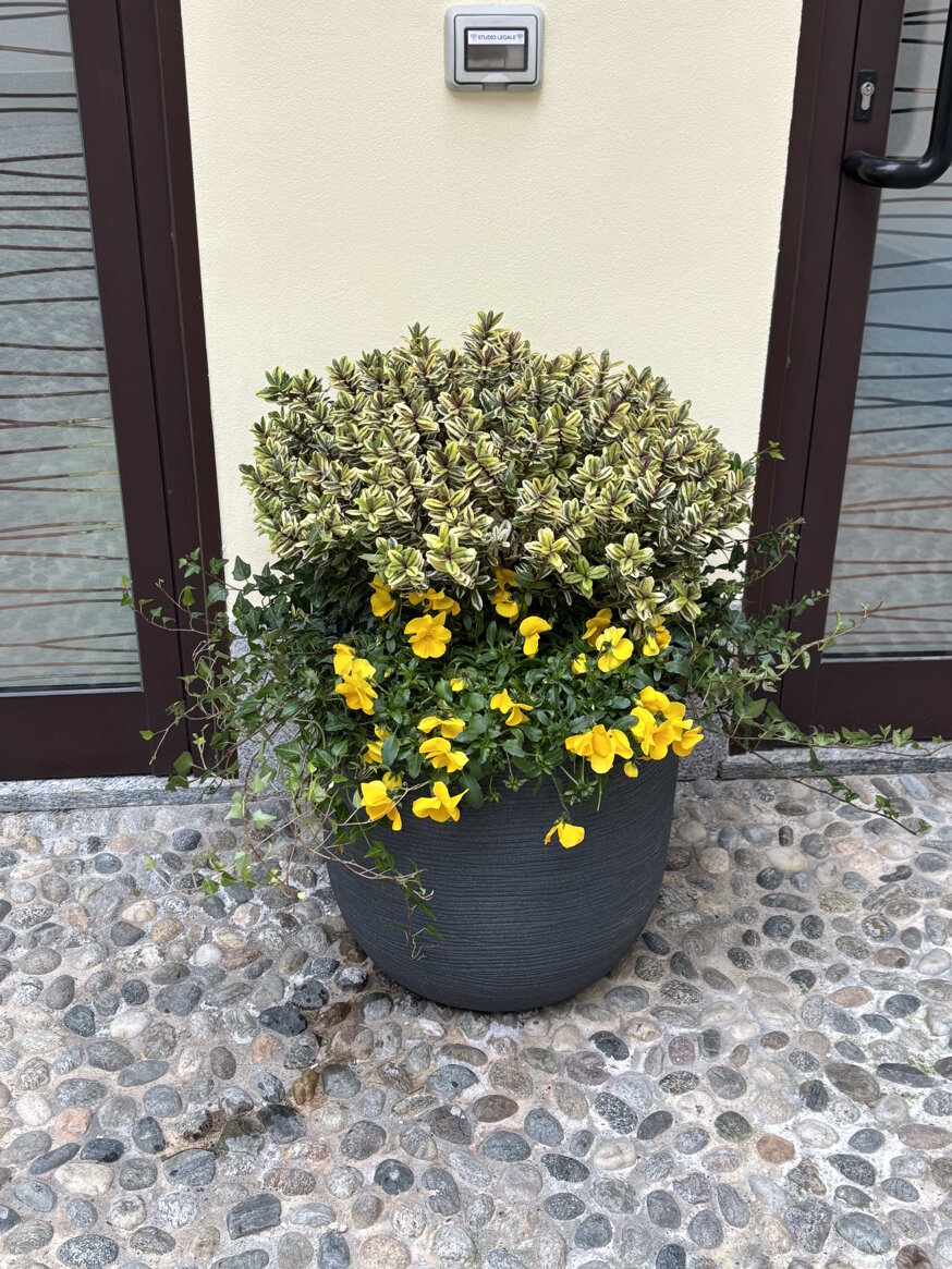 cv studio legale esterno 7.jpeg cv studio legale esterno 7.jpeg