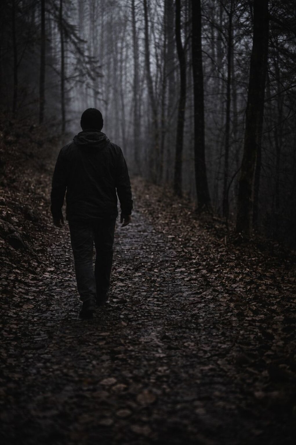 gorki 2 vert copy.jpeg