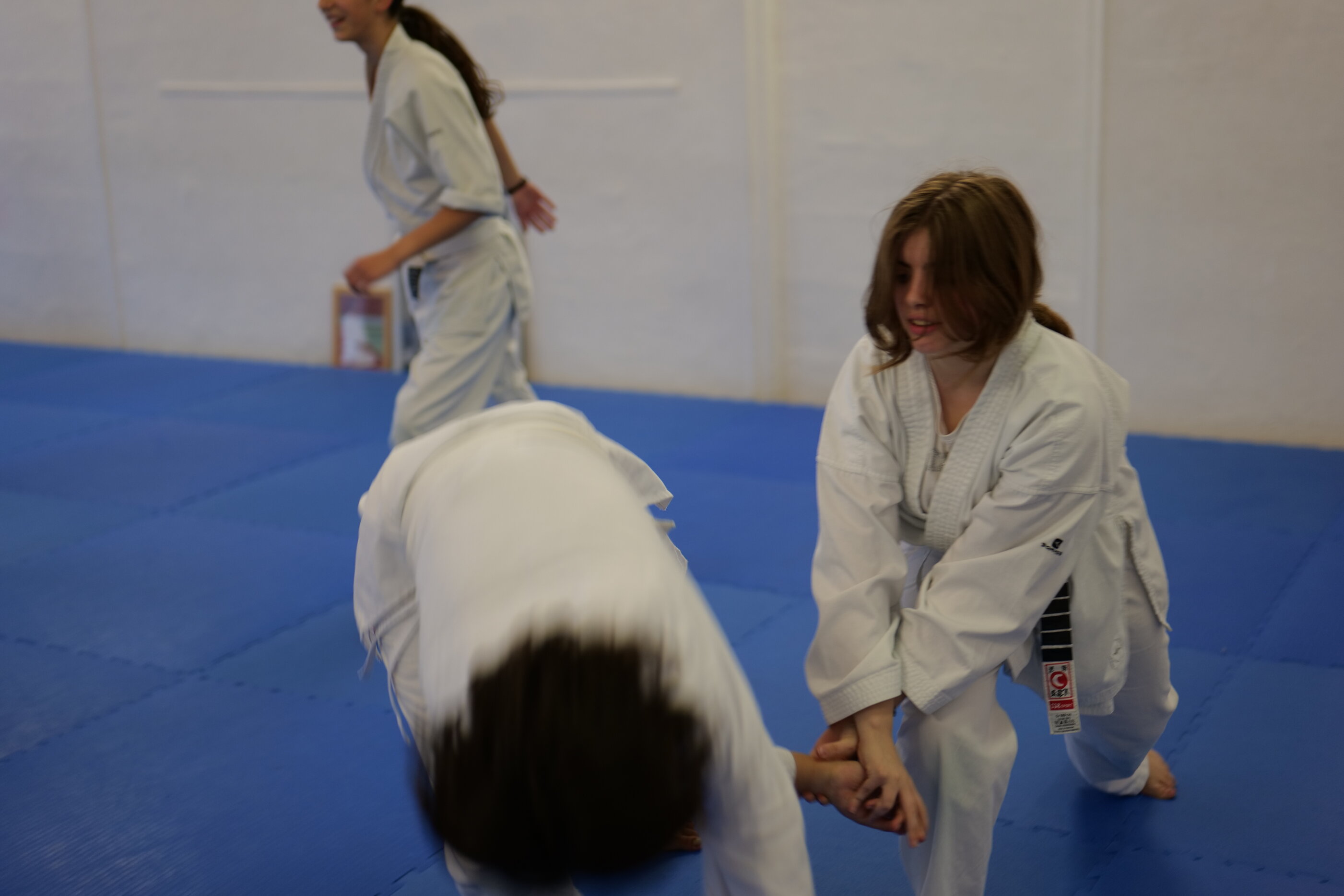 viola kote.jpeg viola kote.jpeg