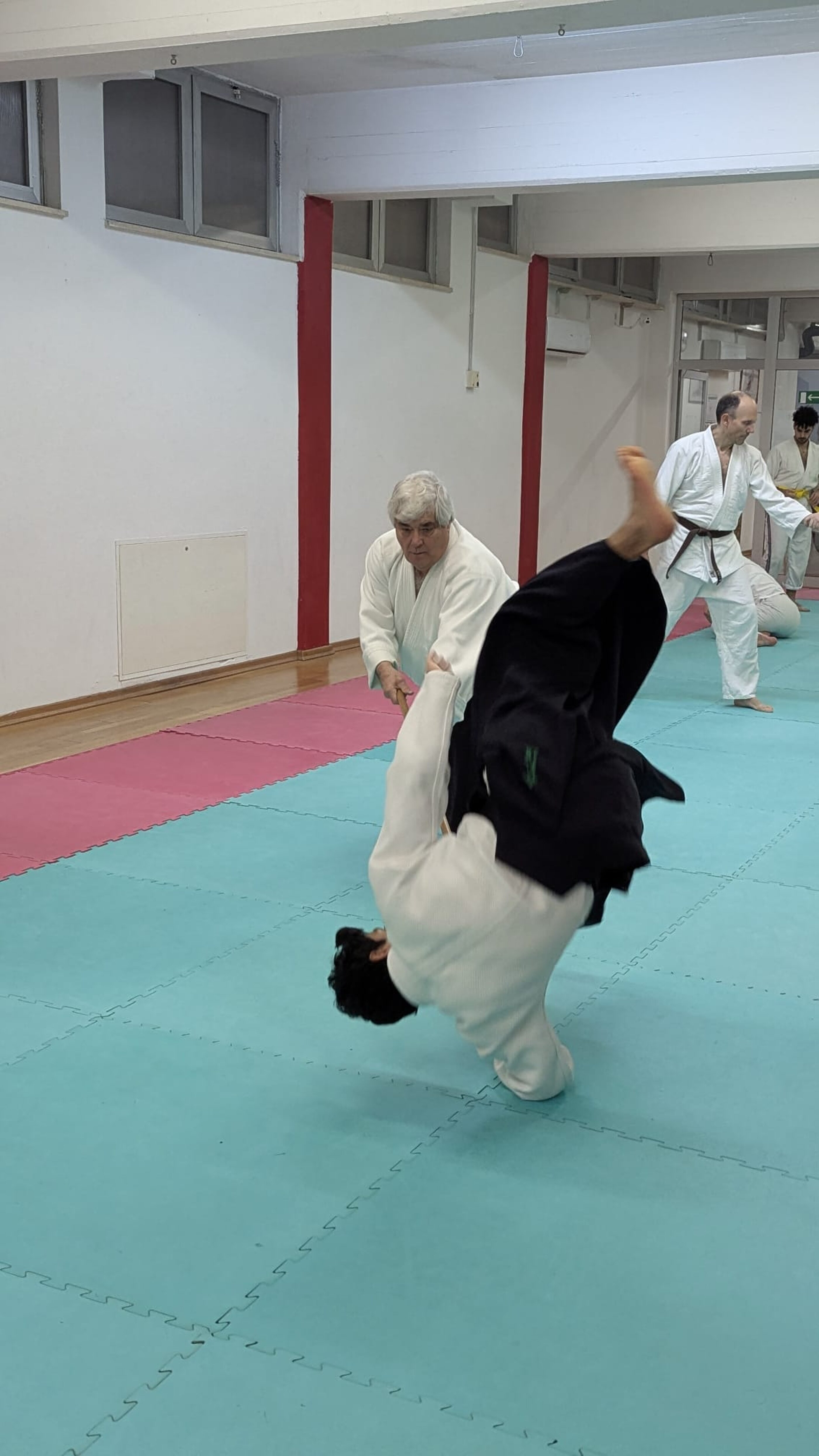 cuzzupè.jpeg cuzzupè.jpeg