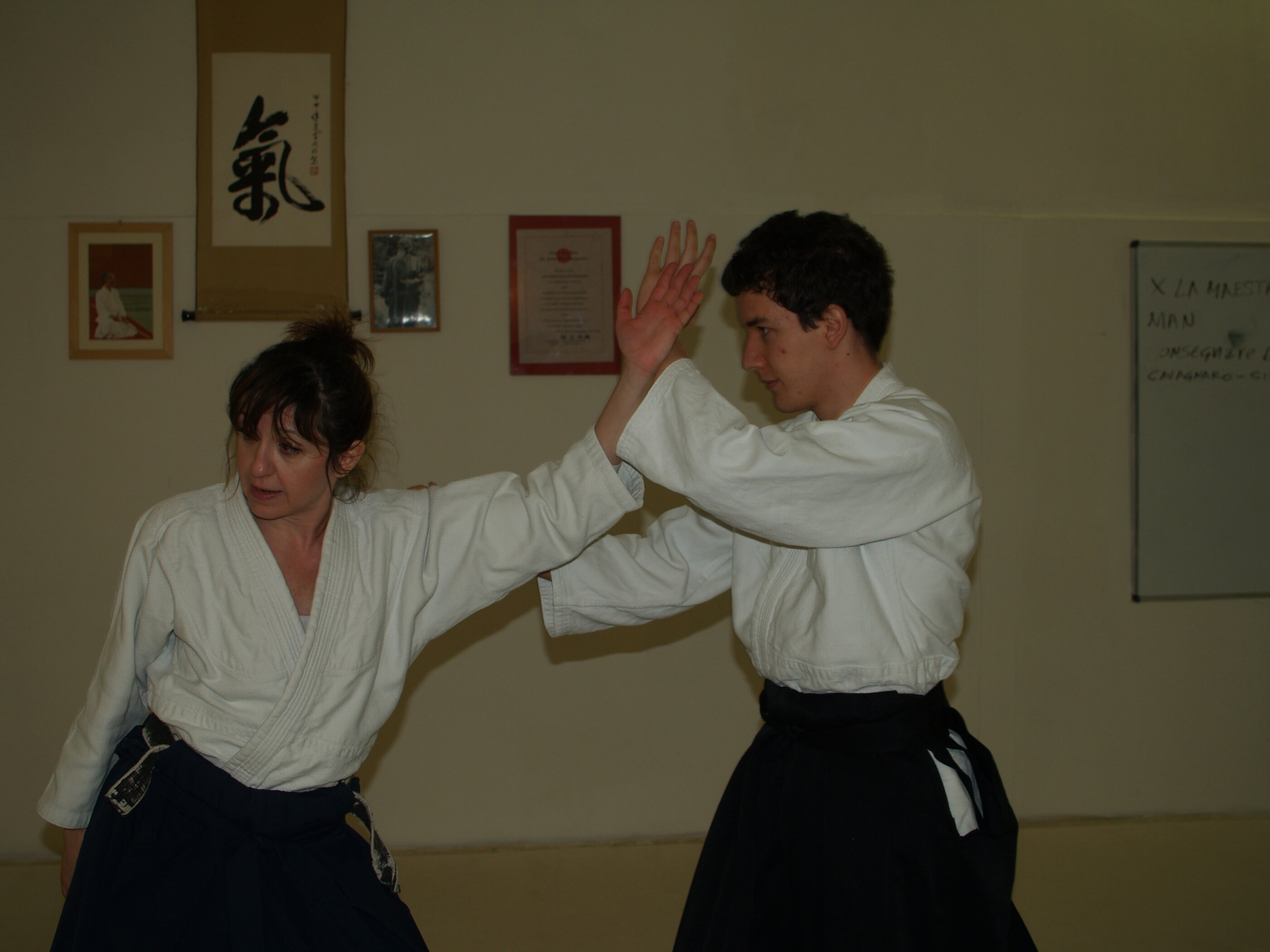 p1011166.jpeg p1011166.jpeg