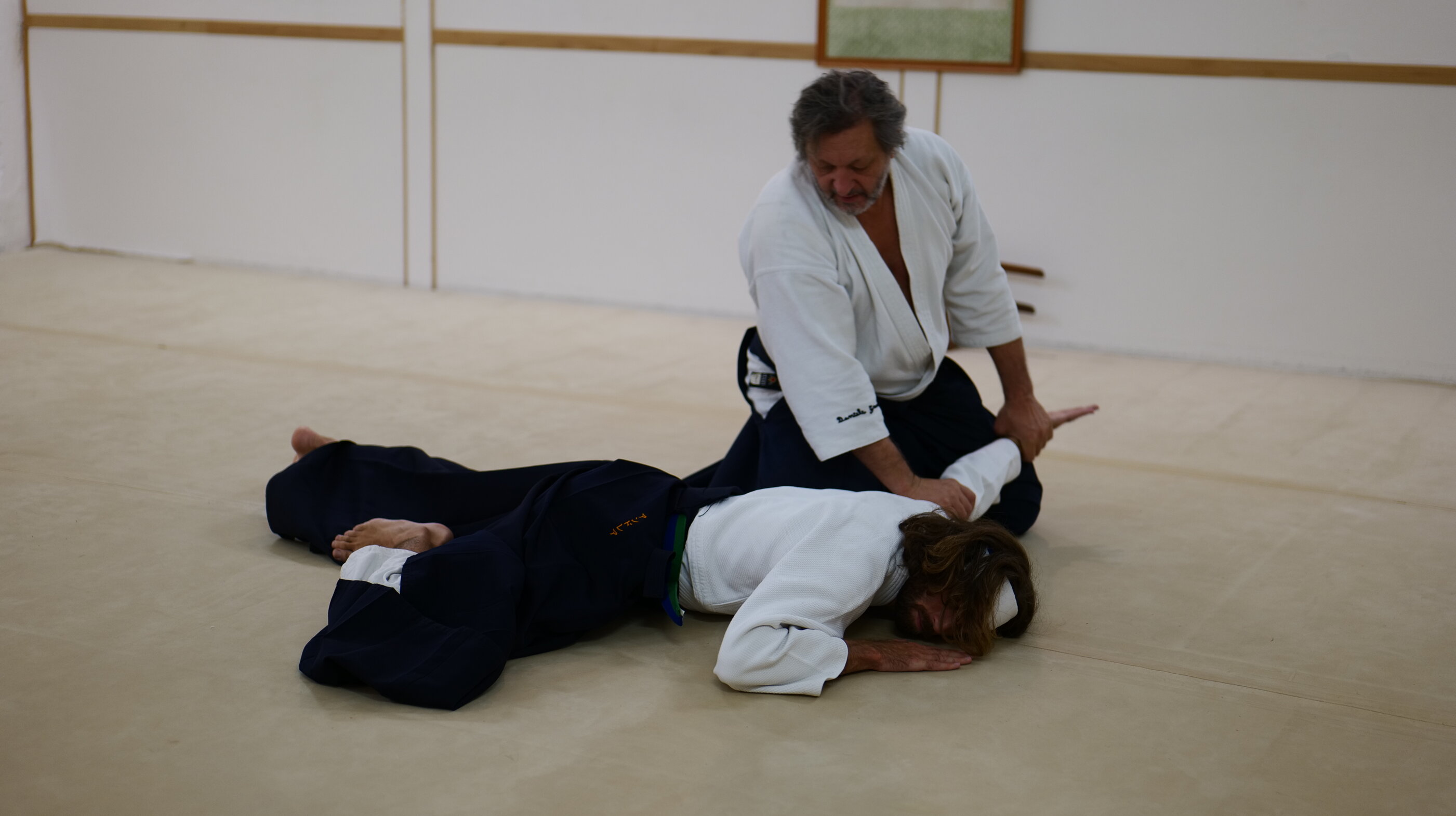 p1021053.jpeg p1021053.jpeg