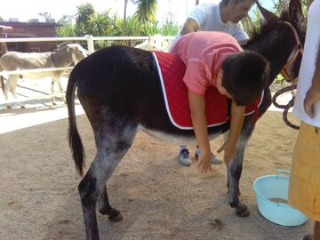 img_20160924_114710.jpeg img_20160924_114710.jpeg