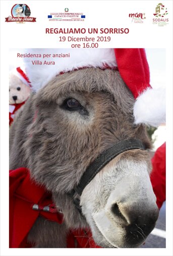 maestro asino natale 2019.jpeg maestro asino natale 2019.jpeg