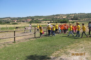 img_20180427_142241.jpeg img_20180427_142241.jpeg