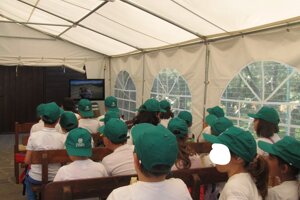 img_0909.jpeg img_0909.jpeg