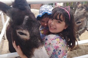 ettore.jpeg ettore.jpeg