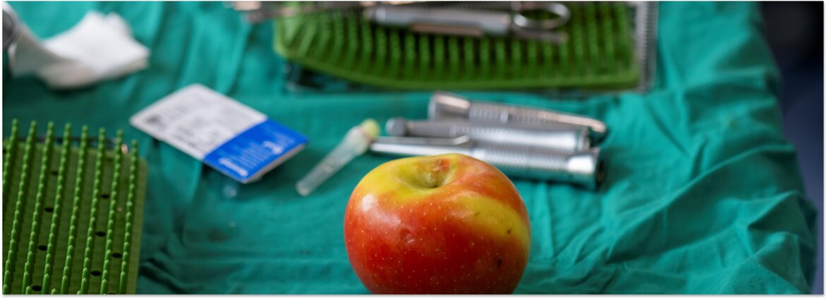 immagine3.jpeg immagine3.jpeg