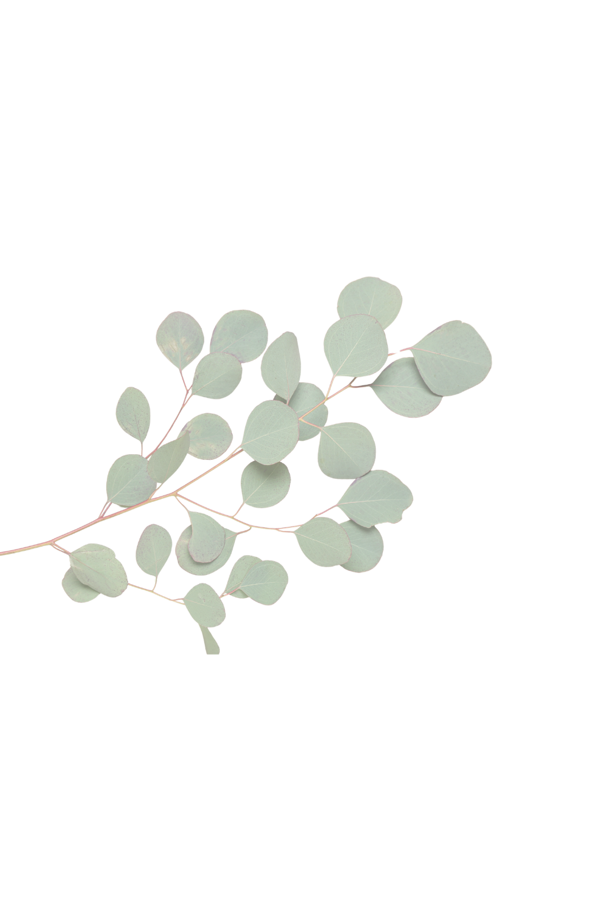 immagine simbolica di calma ed evoluzione interiore