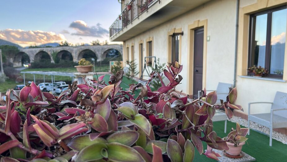 whatsapp image 2025-12-31 at 16.26.52.jpeg