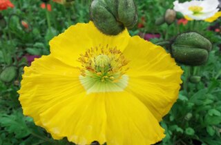 33900_670fd2809008aabdc3440ececadbfa0d15206754