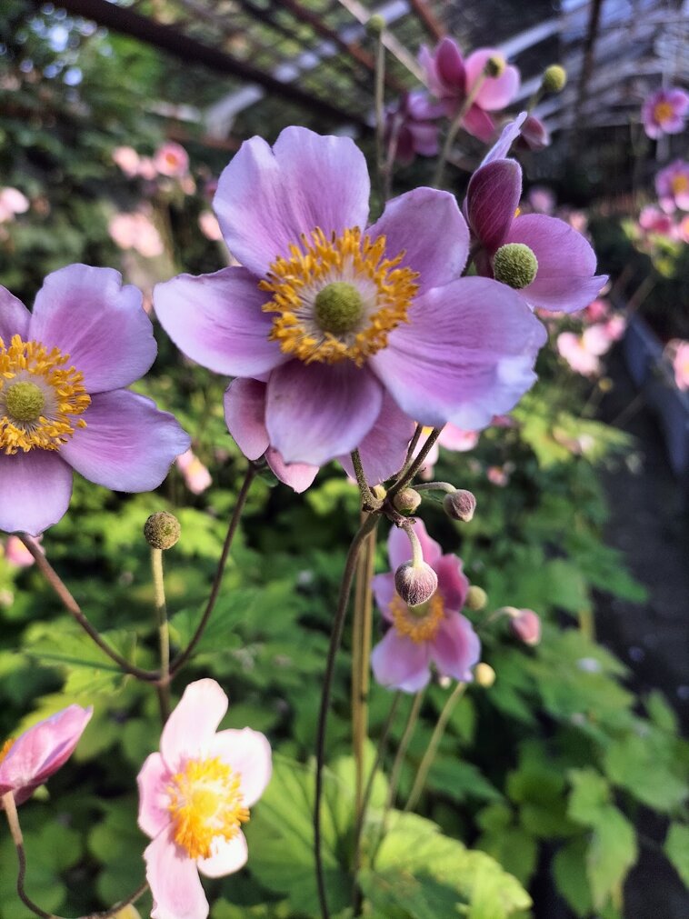 33900_7c92929a8907173d721eee32adb5c3cfc002cdb8