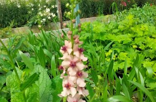 33900_290a54c2d39c76ddf63e593f4a4e8737d5bd357a