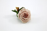 rosa-con-foglie-e-bocciolo