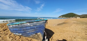 immagine whatsapp 2025-01-11 ore 07.05.29_821b33e9.jpeg