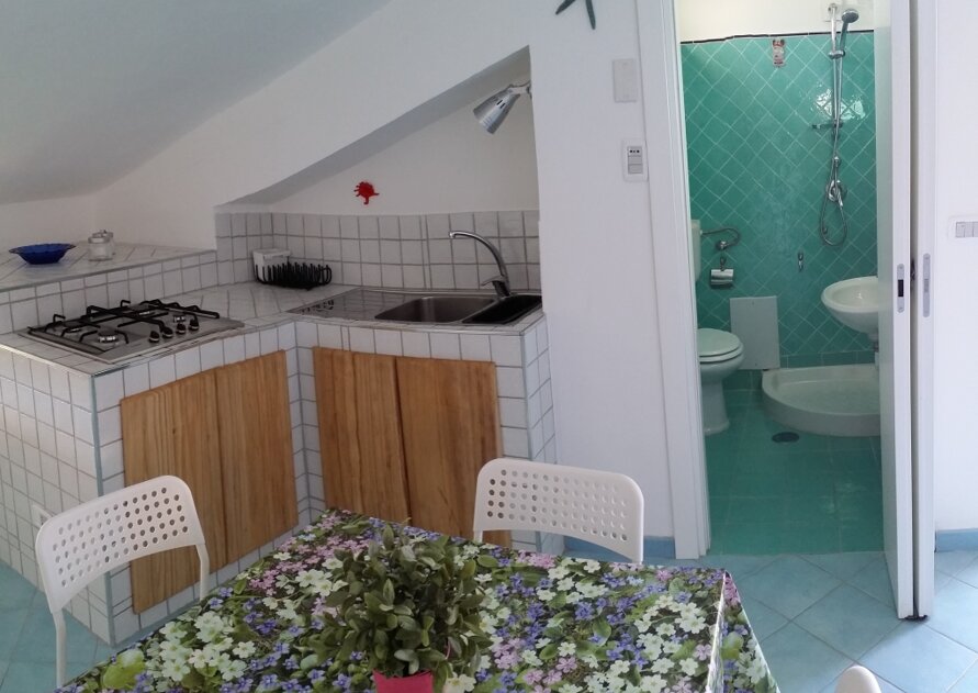 6_md_20150601_182954 (2).jpeg