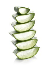 aloe-vera-slices-skin-care-scaled-e1678980602337.jpeg aloe-vera-slices-skin-care-scaled-e1678980602337.jpeg