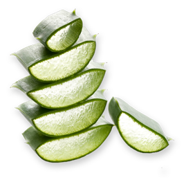 aloe-vera-slices-skin-care-1 aloe-vera-slices-skin-care-1