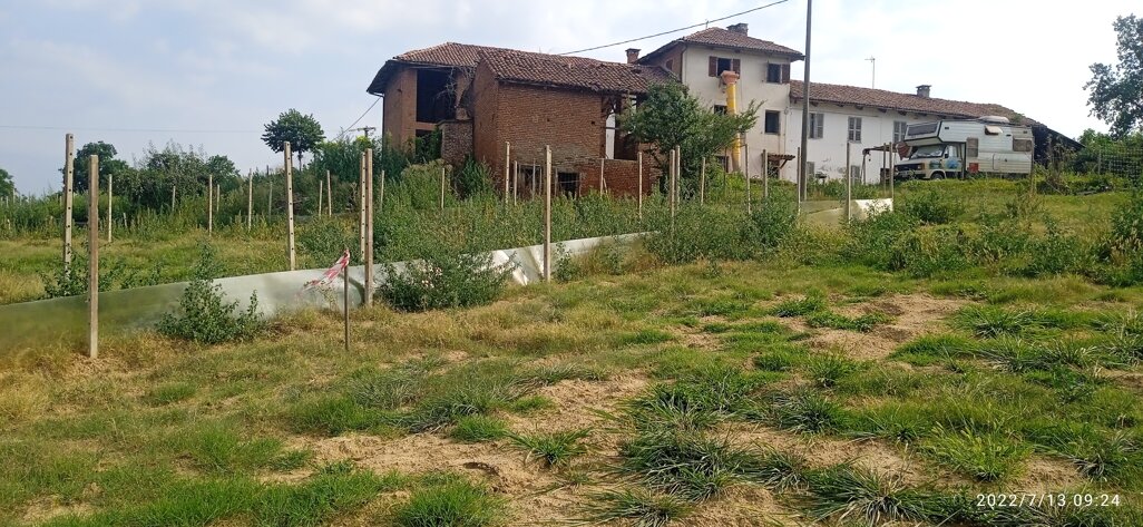 img_20220713_092416.jpeg img_20220713_092416.jpeg