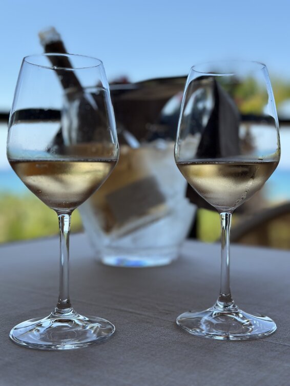 img_6643.jpeg img_6643.jpeg