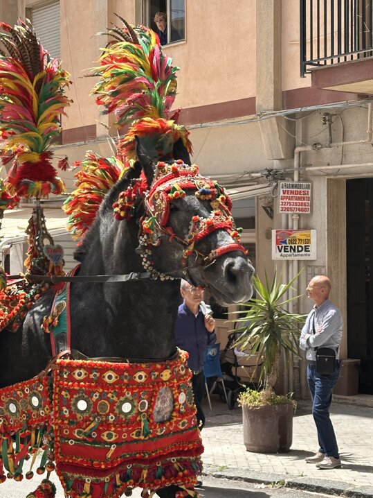 img_5877.jpeg img_5877.jpeg