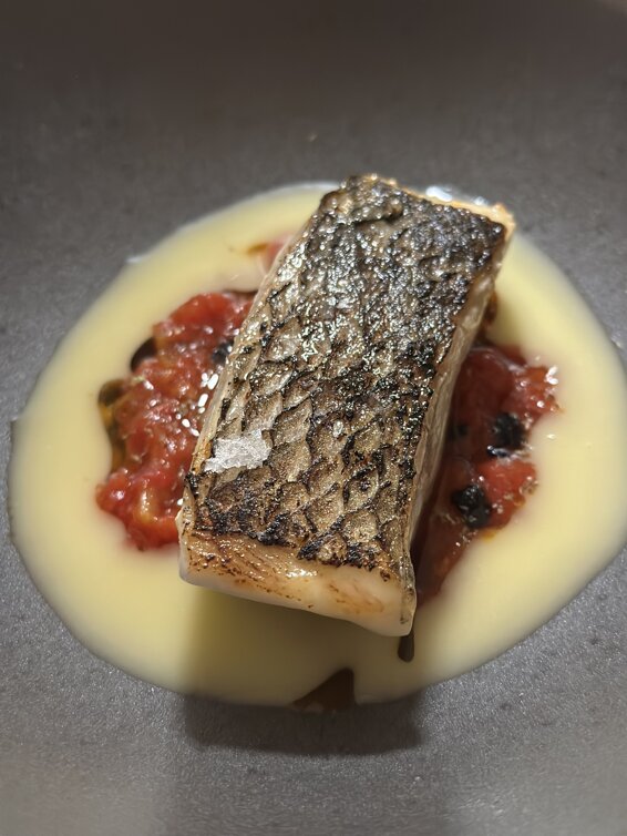 img_7456.jpeg img_7456.jpeg